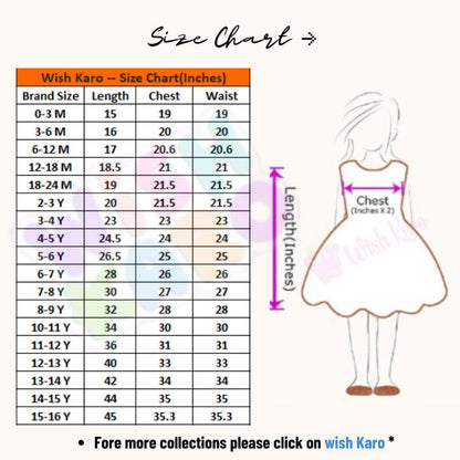 Wish Karo Girls Knee Length Frock Dress(fre1005bpnk)