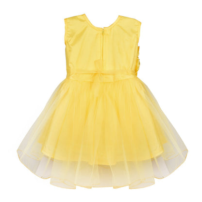 Baby Girls Party Wear  Dress Fe 2161y - Wish Karo Party Wear - frocks Party Wear - baby dress