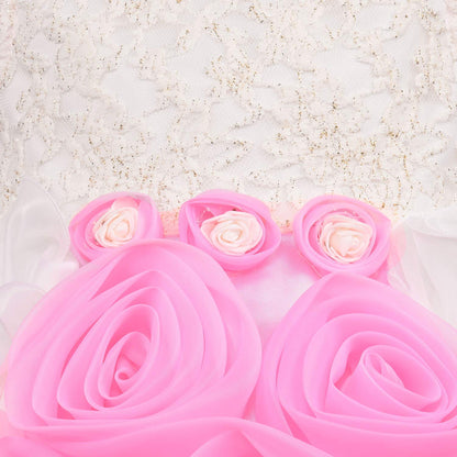 Premium Baby Girls Birthday Dresses Online | Girls Knee-Length Dress