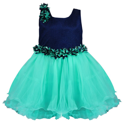 Baby Girls Party Wear Frock Dress Fr1006sg -  Wish Karo Dresses