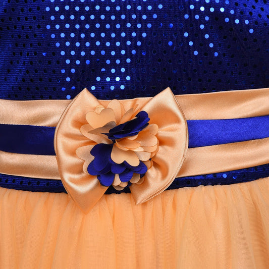 Baby Girls Party Wear Frock Dress DN fr130bge