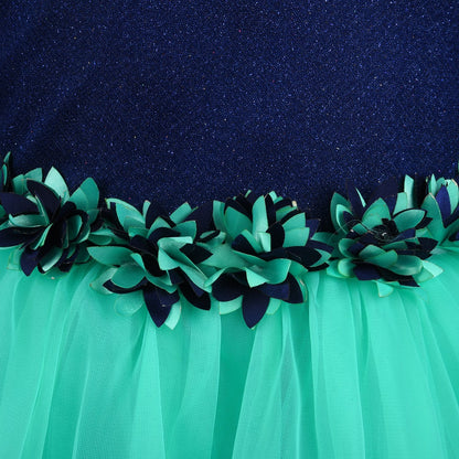 Baby Girls Party Wear Frock Dress Fr1006sg -  Wish Karo Dresses
