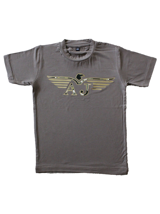 Wish Karo | Boys Tshirt Grey