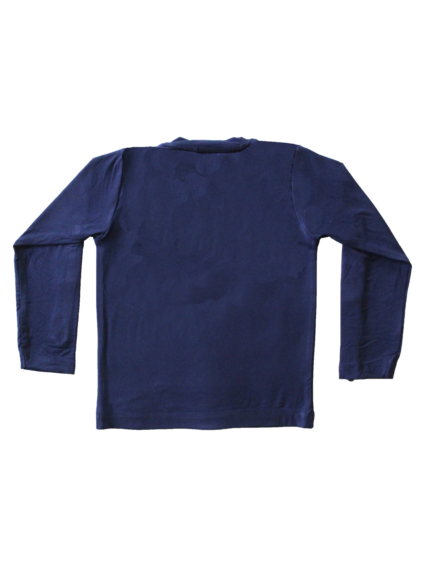 Wish Karo | Boys Plain Tshirt Blue
