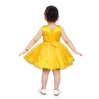 Girls Party Wear Dress
