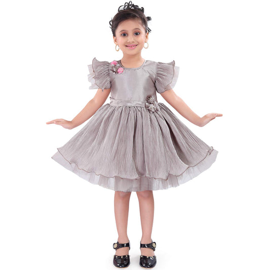Wish Karo Kids Birthday Girl Dress-(fe2918)