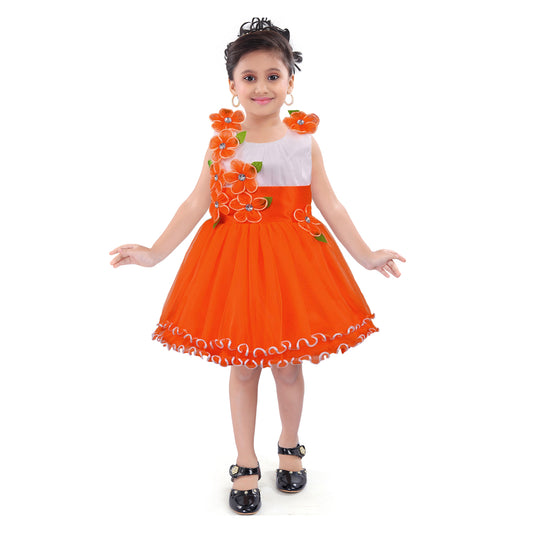 Girls Knee Length A-Line Frock Dress