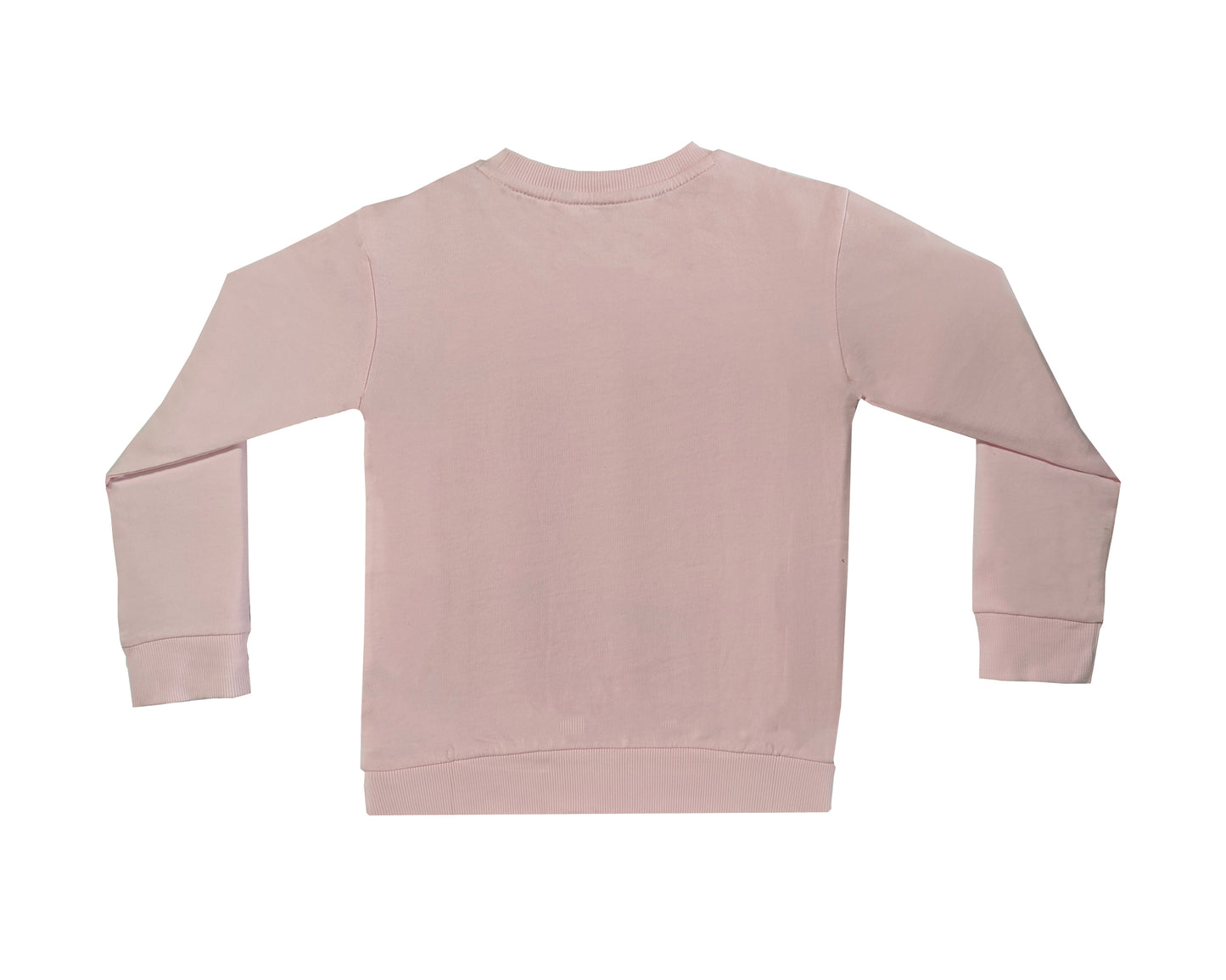 Silver Craft Sweatshirt for Girls (tsg202)