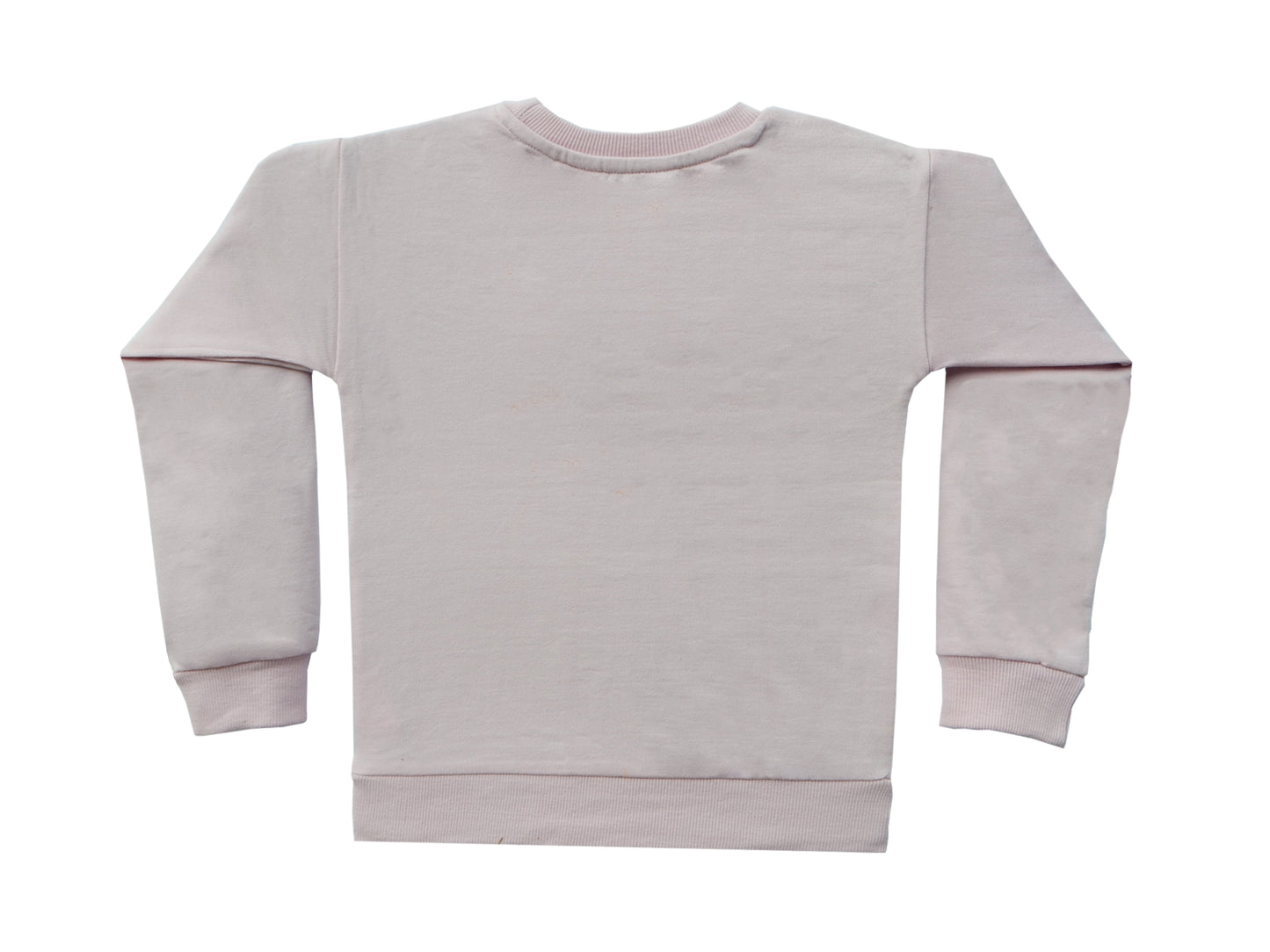 Silver Kraft Sweatshirt For Girls (tsg203)